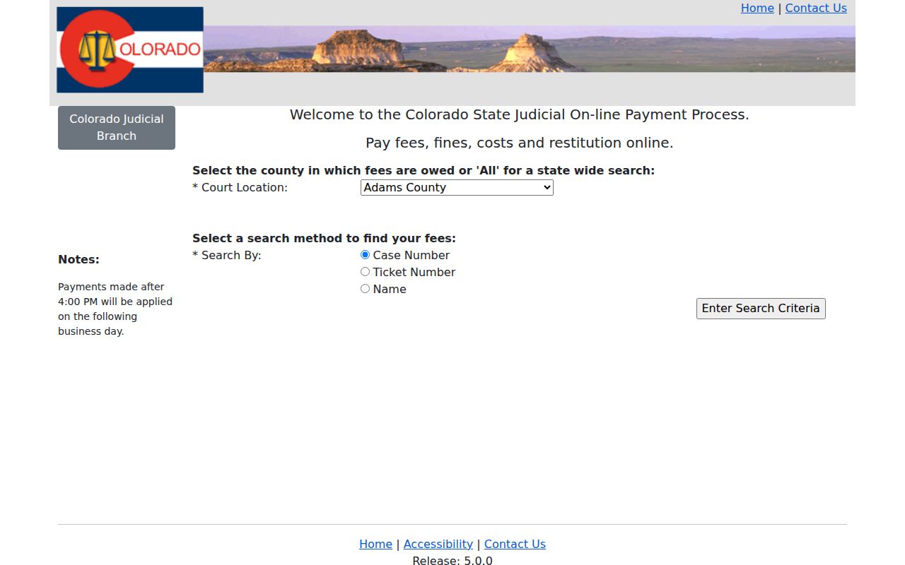 CJOP fields for a South Fork state traffic court docket payment search